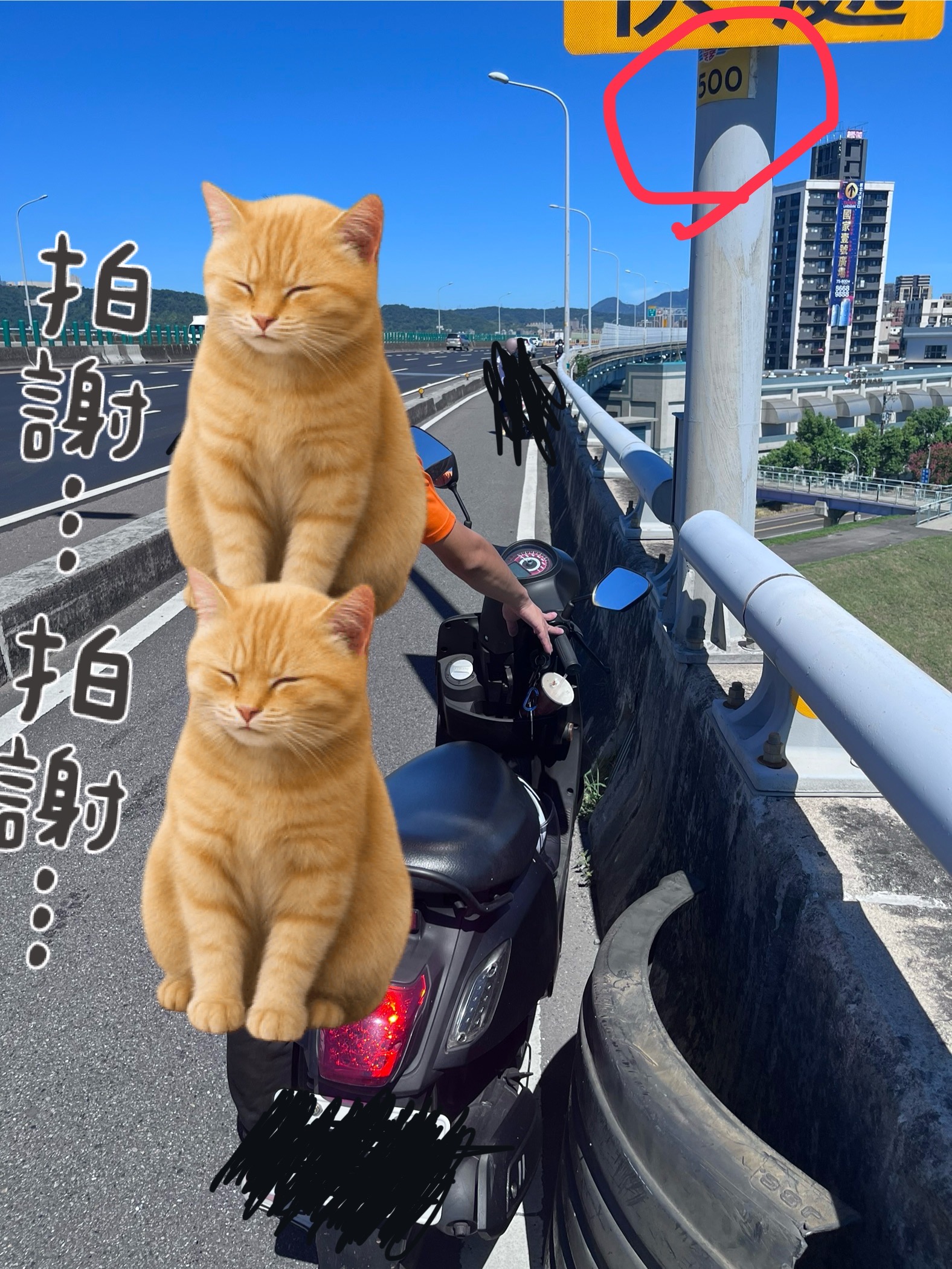 協尋現場