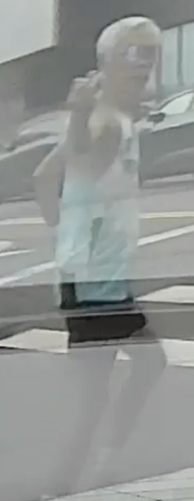 相關圖片 2