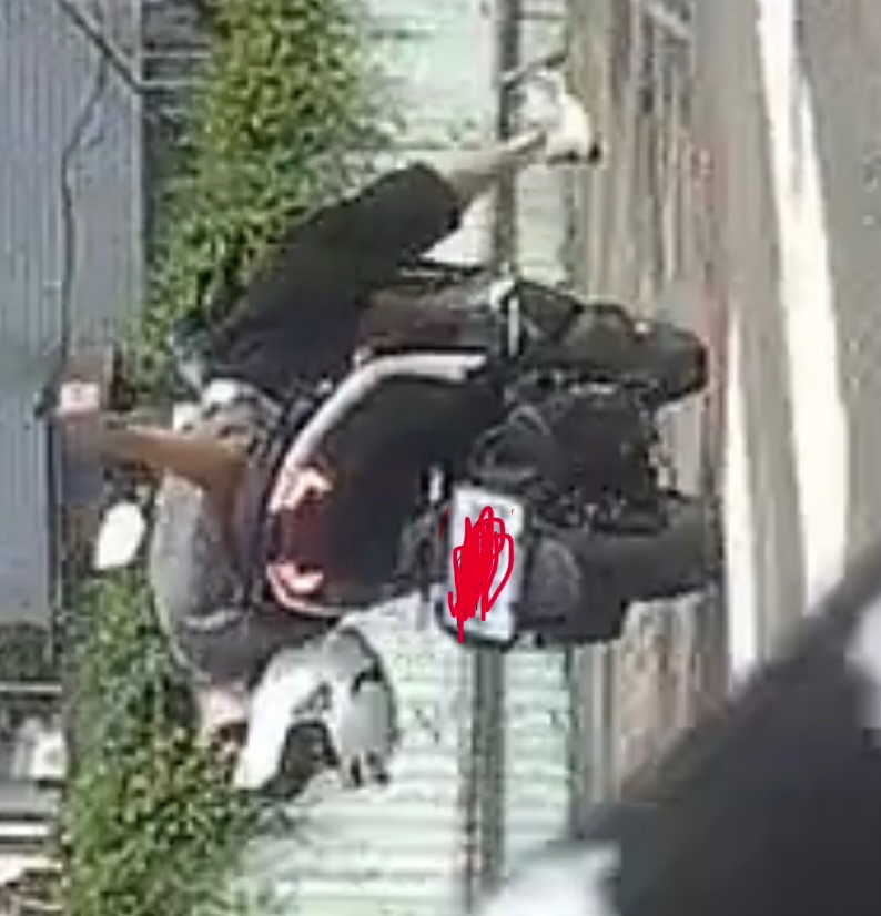 相關圖片 1