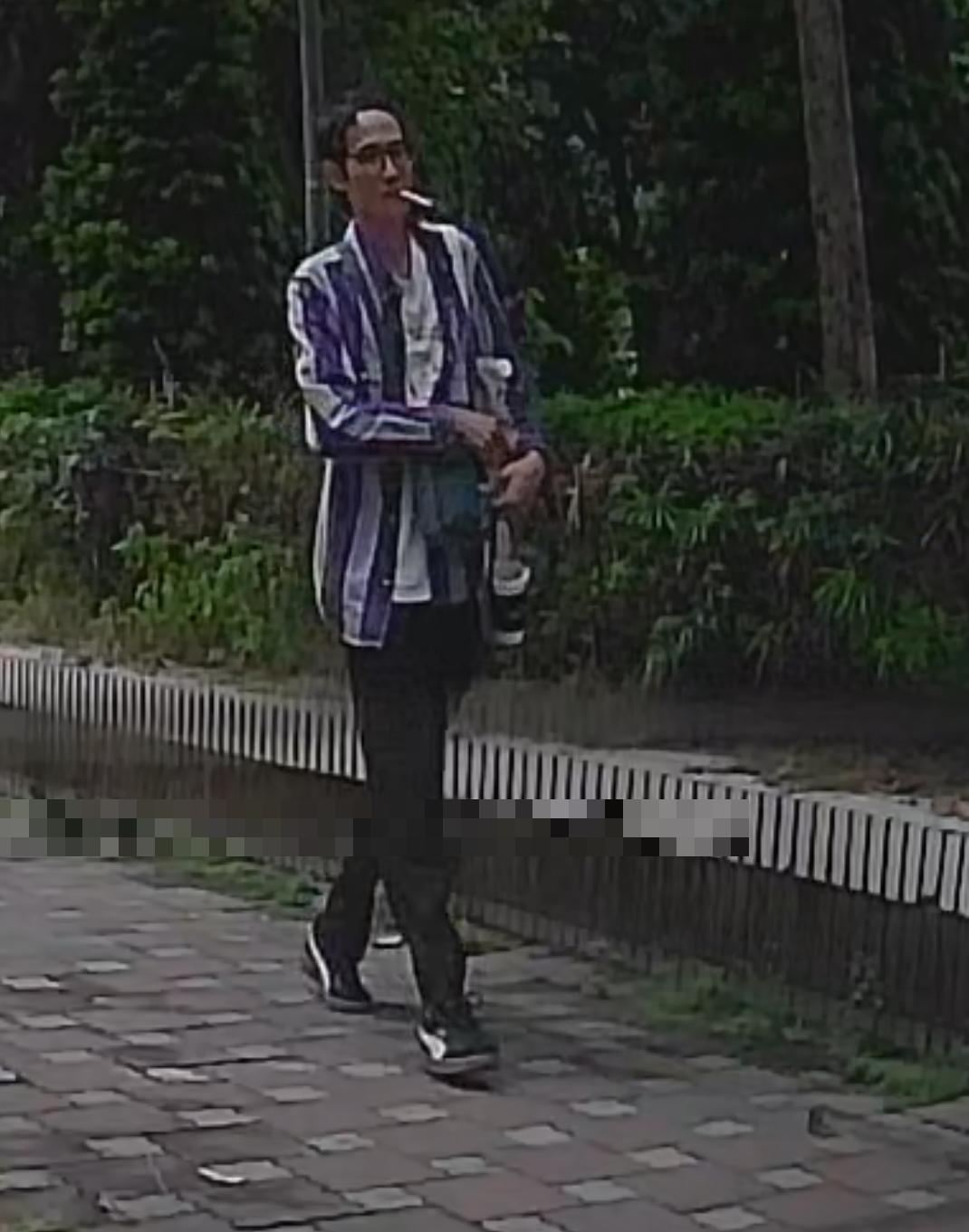 相關圖片 2