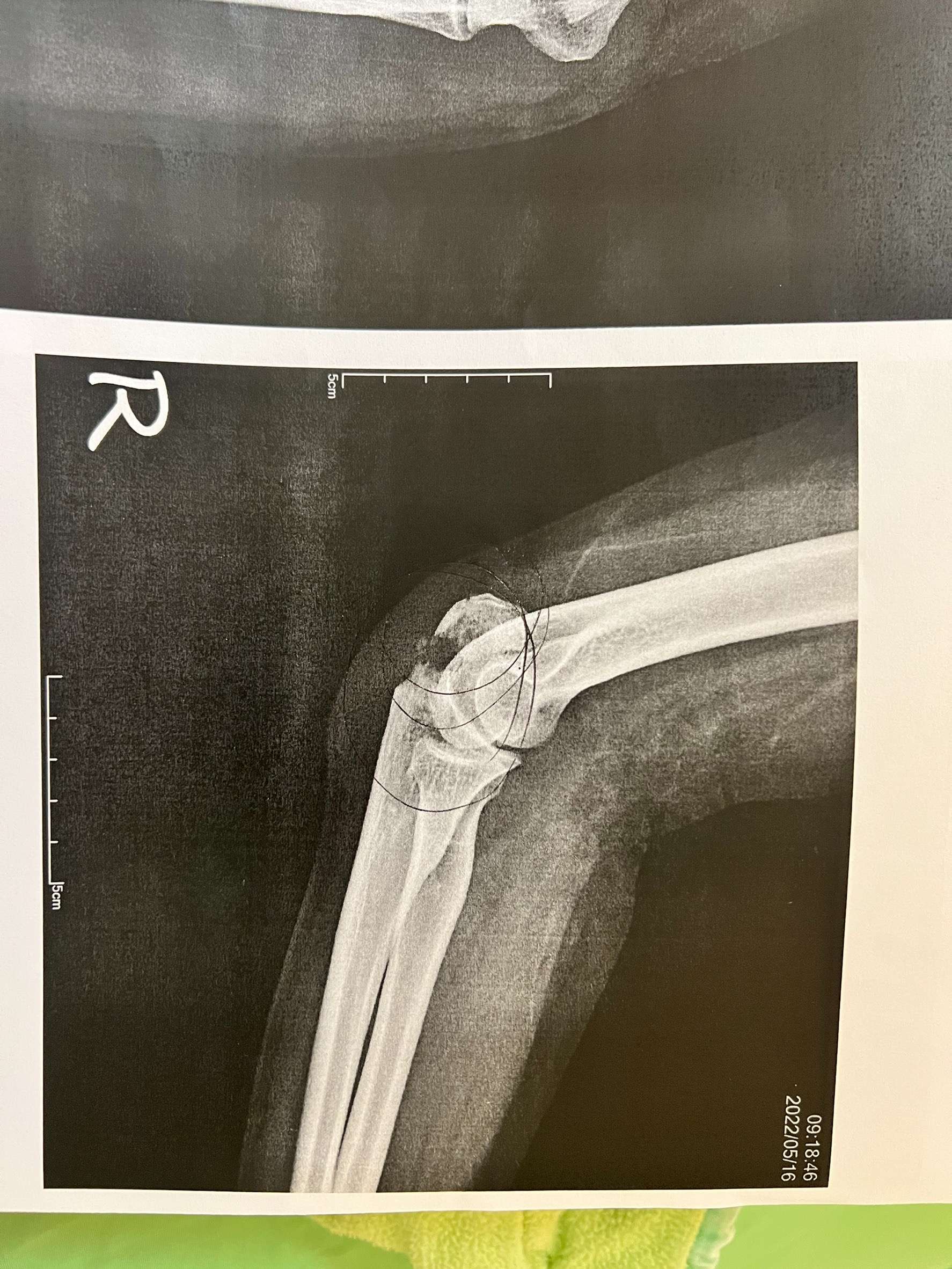 協尋現場
