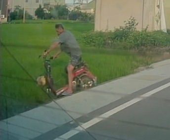 相關圖片 1