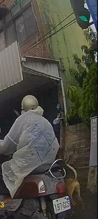 相關圖片 1