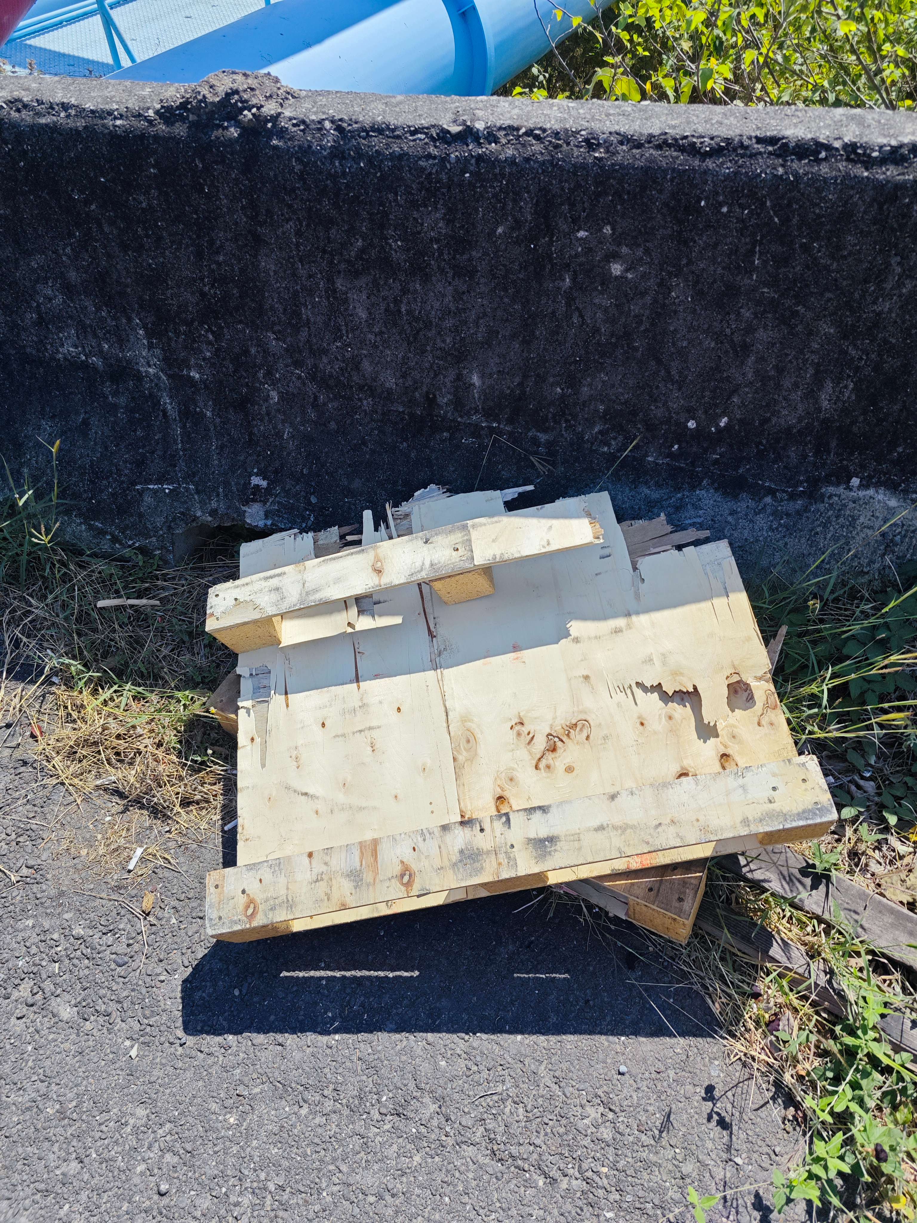 協尋現場