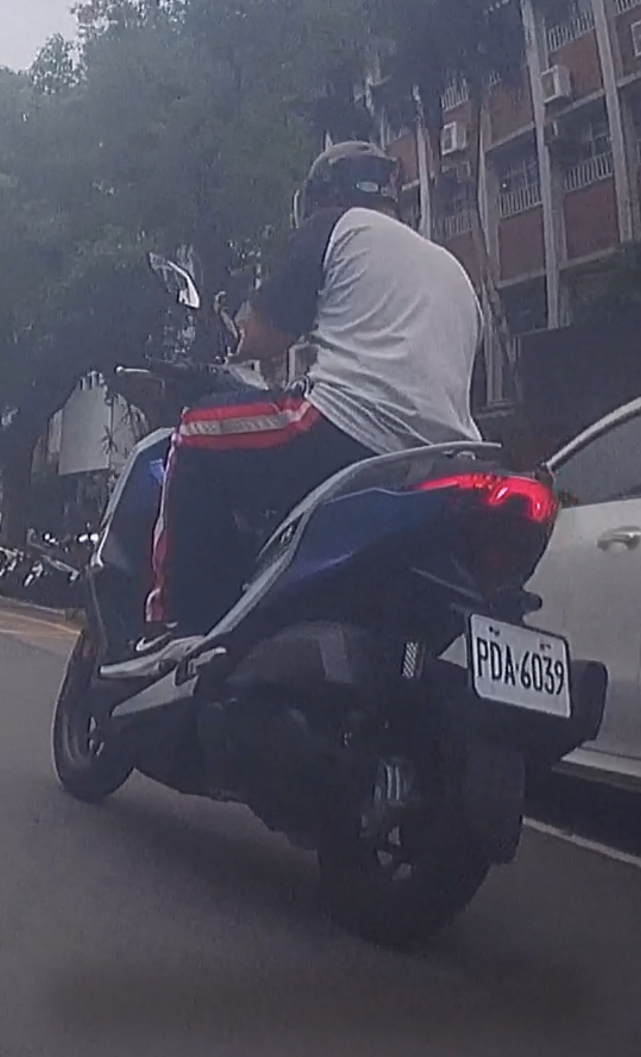 相關圖片 1